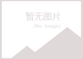 铁岭平安能源有限公司